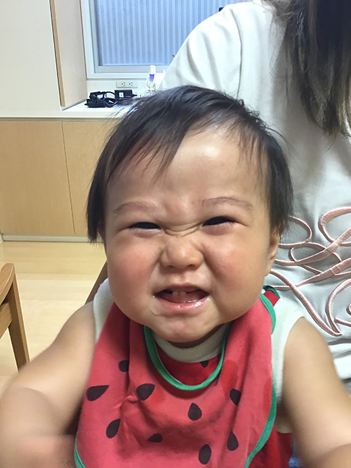 求人案内